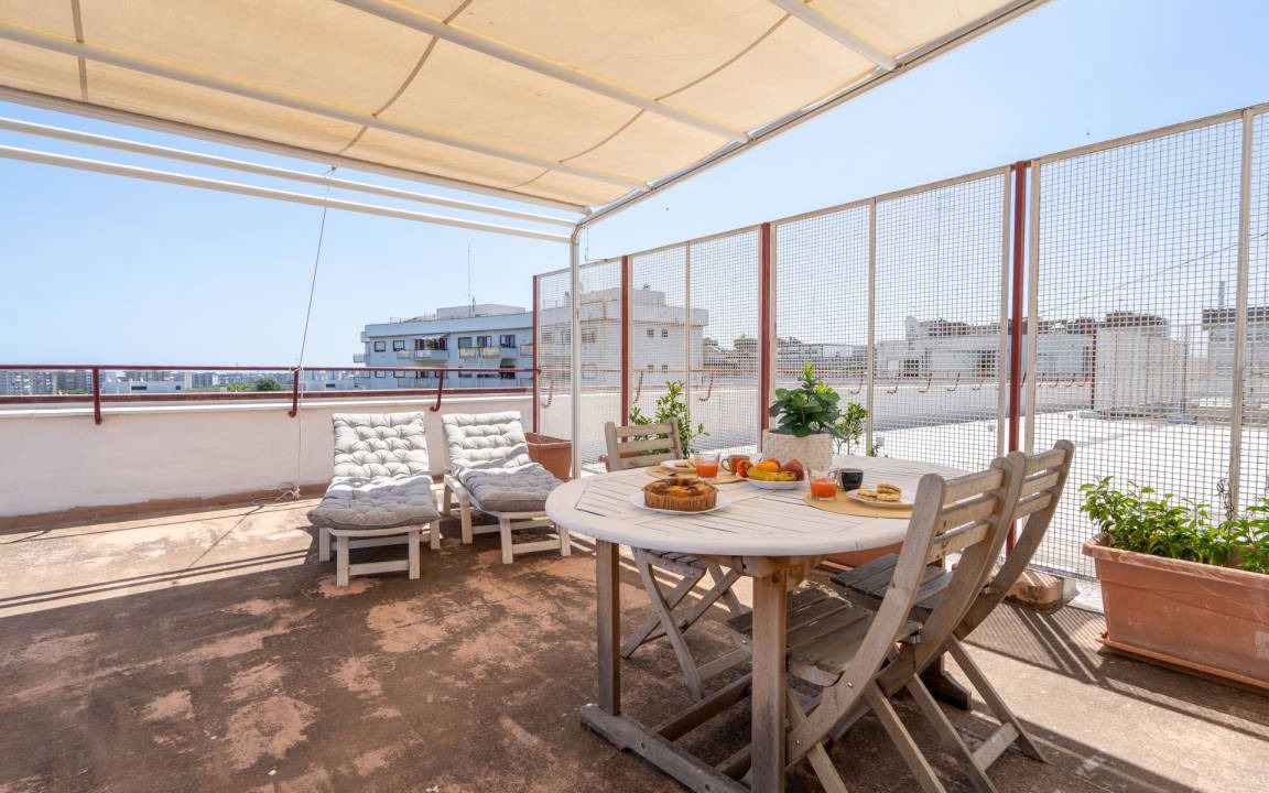 Municipio 2 Apartment | 30 m² Apartment ∙ 1 bedroom ∙ 2 guests