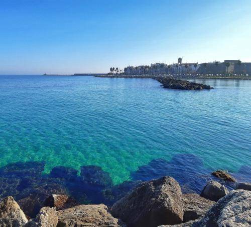 Mola di Bari Apartment | 55 m² Apartment ∙ 4 guests