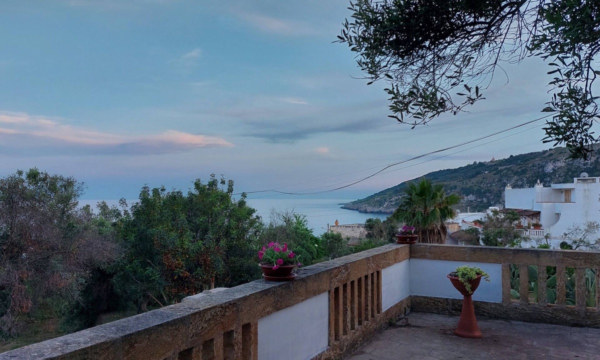 Marina Serra House | A corner of paradise in the green of an olive grove just a few steps from the sea