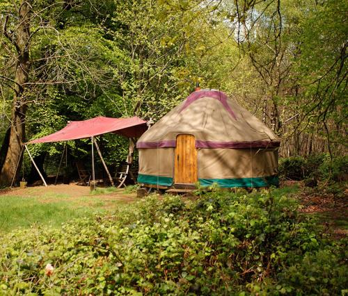 Petersfield Other | Adhurst Yurts