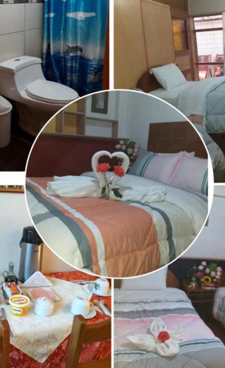 Primavera House | Anais Hostel