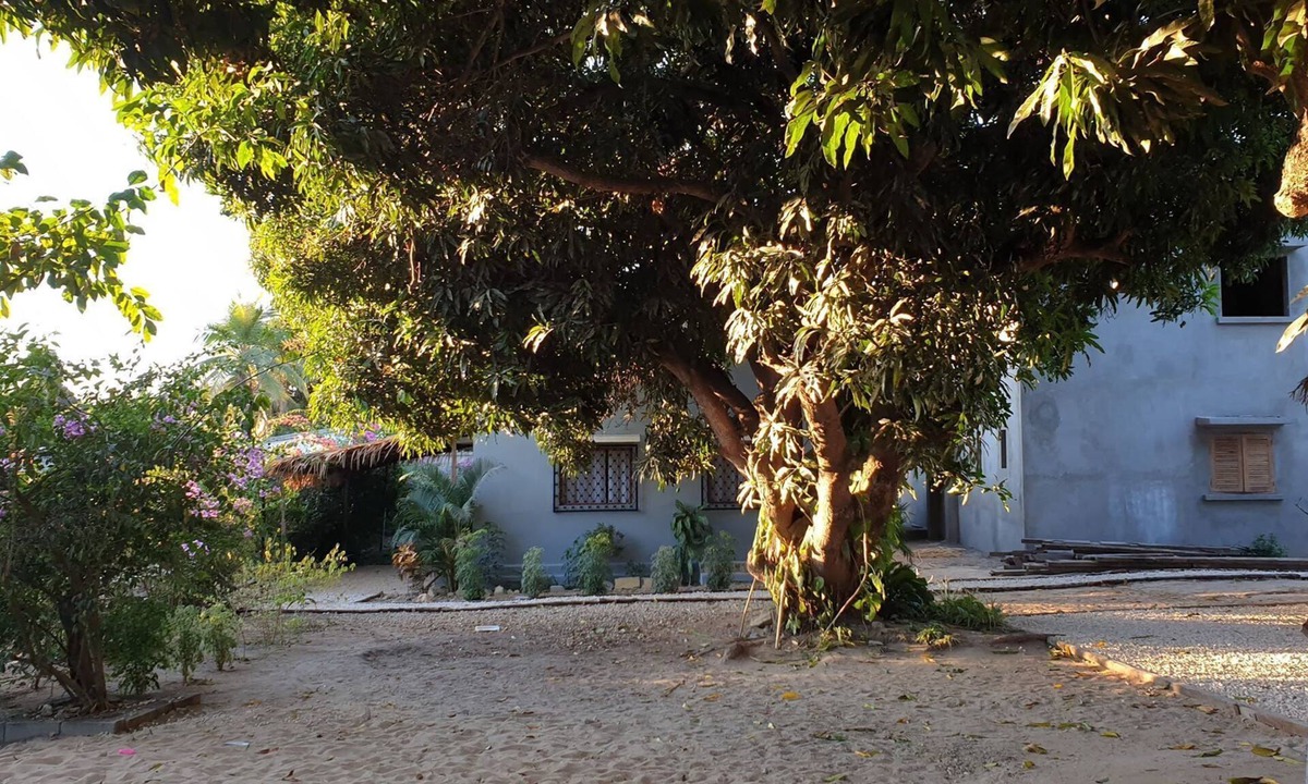 Mahajanga House | bungalow 1 for 3 people