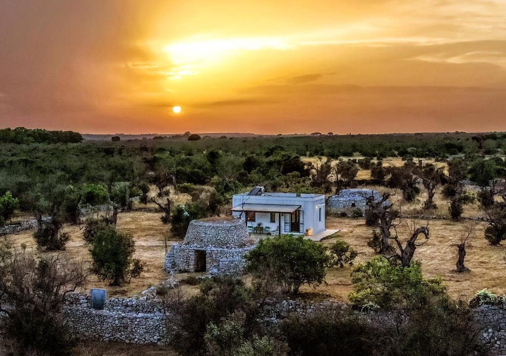 Salve House | Casa Barzò - surrounded by olive trees
