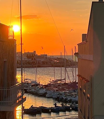 Municipio 5 Apartment | Casa del Mare e Relax - close to the Airport