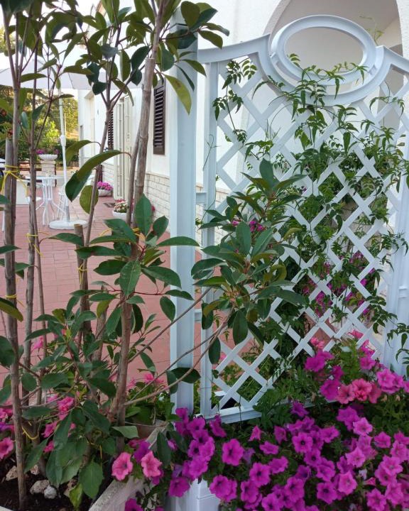 Specchiaruzzo House | Casa Fefè
