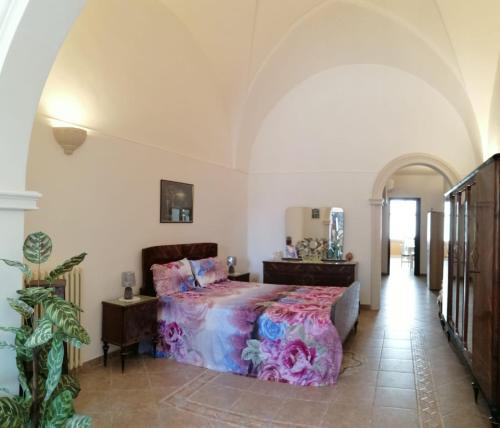 Cannole House | Casa Mariposa 50