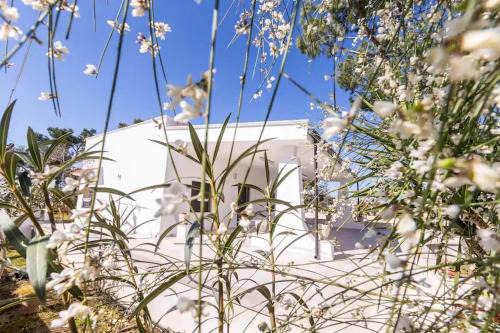 Francavilla Fontana House | Casina Anna Maria