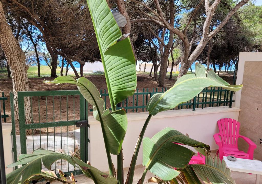 Rivabella Apartment | FRONTE PINETA MARE RIVABELLA