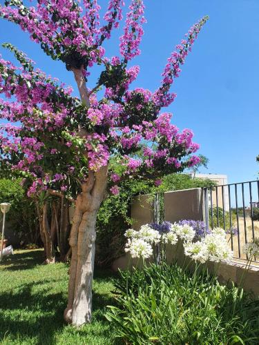 Mola di Bari Apartment | La Bouganville