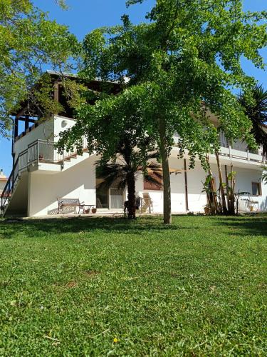 Ruffano House | LA CASA DEL NOCE