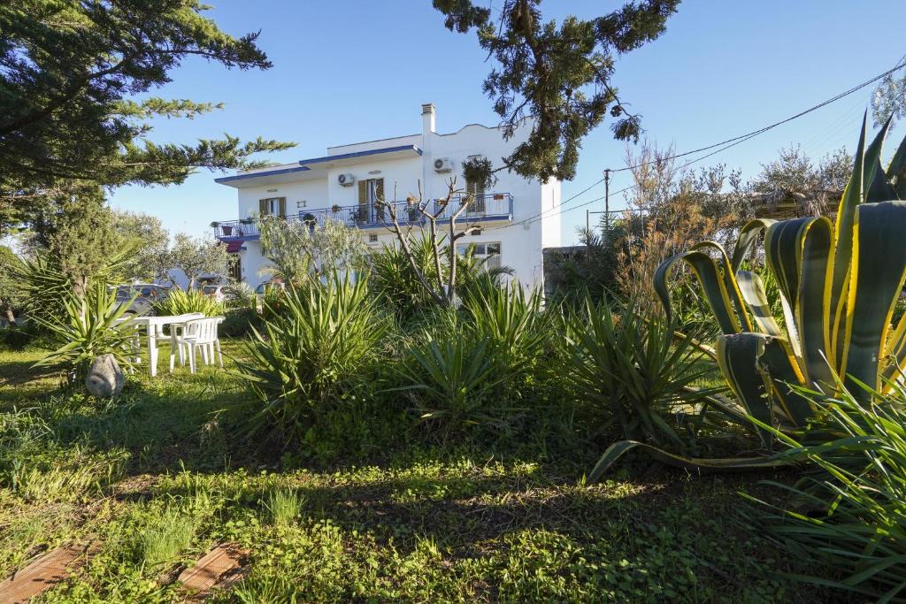 L'Assunta Apartment | La Casa di Marta