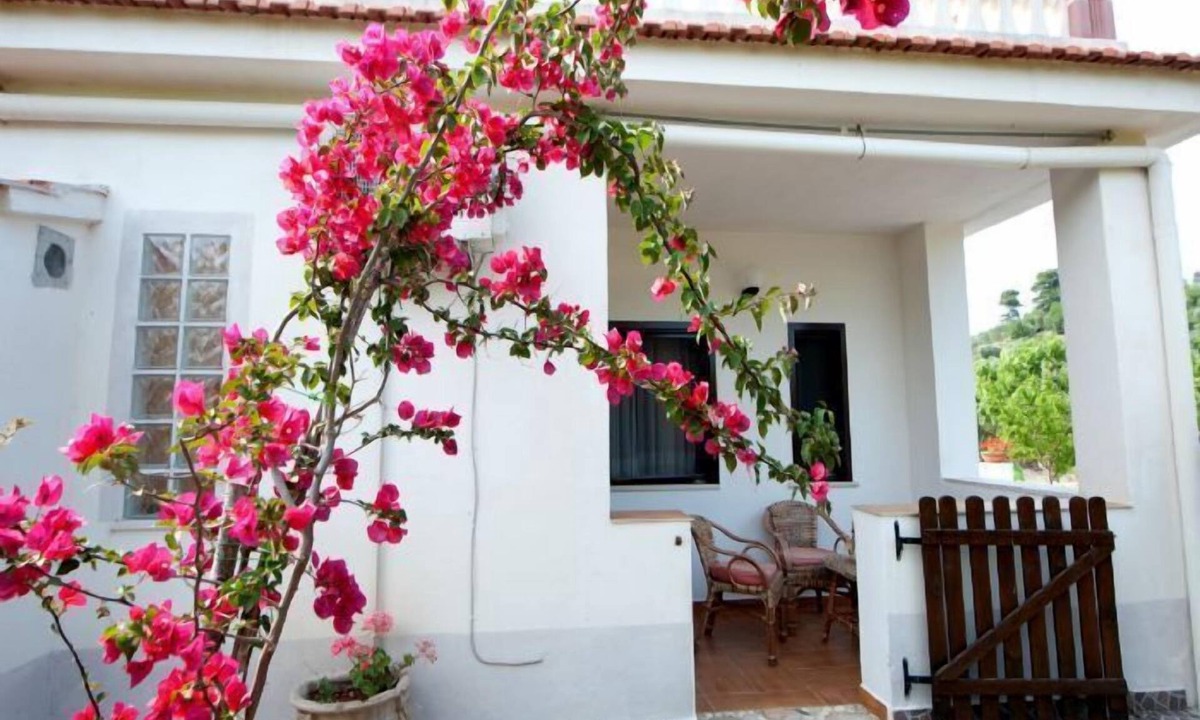 Peschici Bed & Breakfast | La Formichina