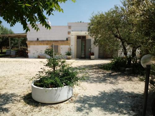L'Assunta Apartment | La TORRETTA AFFITTI BREVI