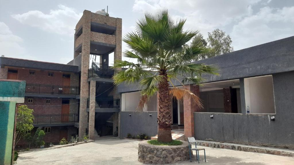 Lalibela Hotel | Mountolive Hotel Lalibela