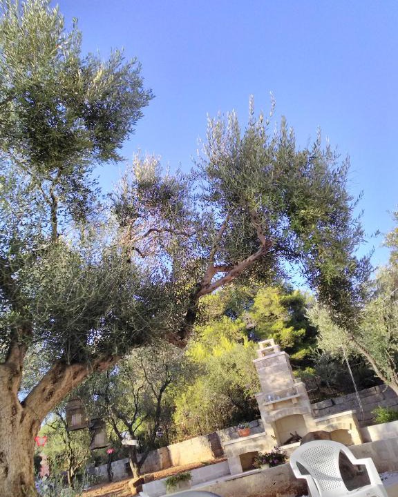Ruffano Apartment | Nel Giardino di Isabel