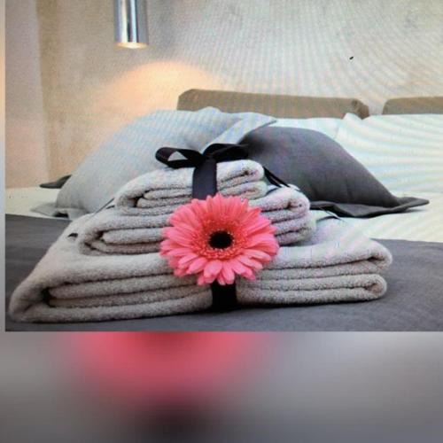 Mesagne Bed & Breakfast | OLYMPUS PARK amnesia