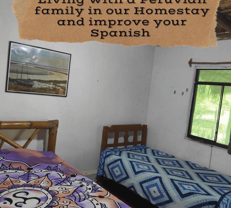 Mancora Resort | Private room ∙ 3 guests