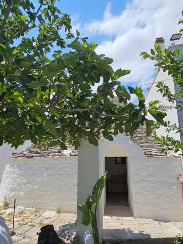 Alberobello House | River Trulli oasi di pace in sito UNESCO