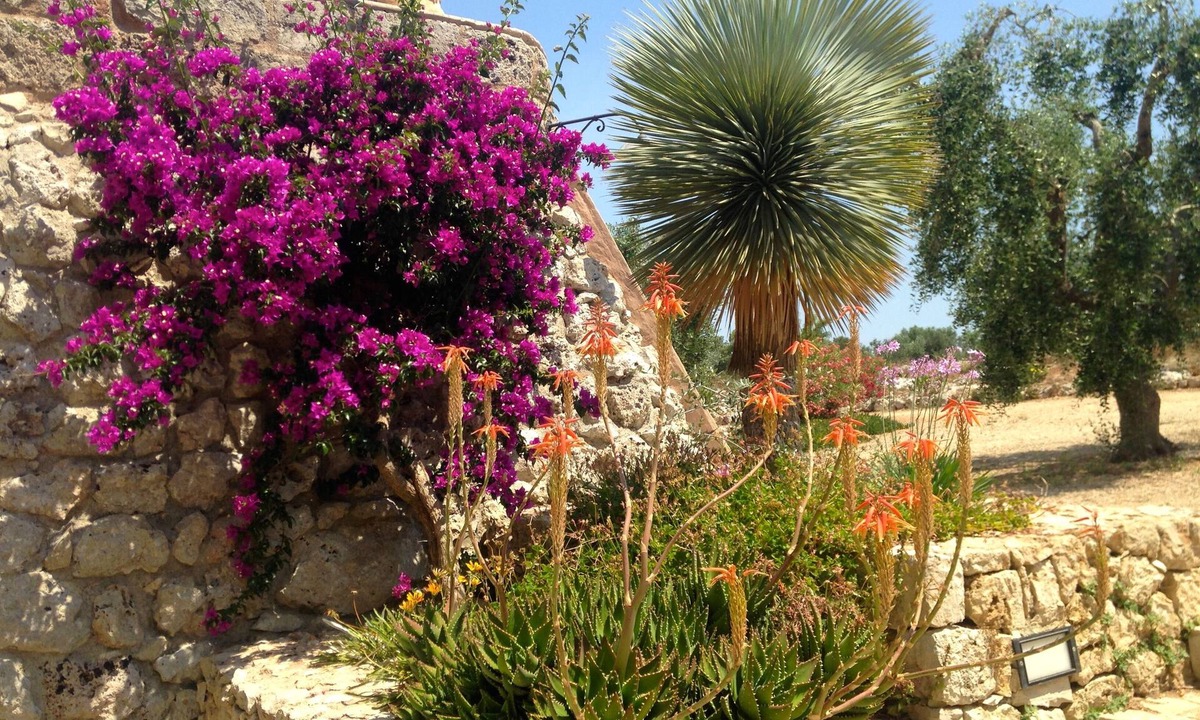 Porto Tricase House | Tricase Porto: Apartment/flat - Tricase Porto