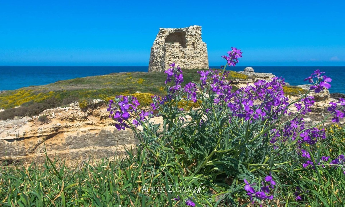San Foca Villa | Villetta Cati - SAN FOCA - LECCE With garden, porch and parking space
