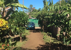 Bungalow in the Garden of Eden