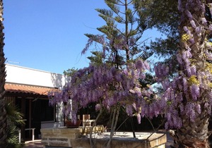 Holiday house Gallipoli for 1 - 4 persons with 2 bedrooms - Holiday home