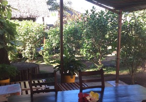 House in the Garden of Eden