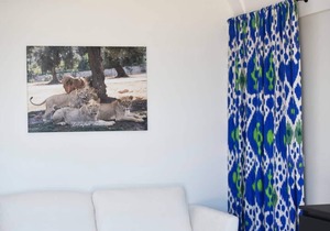 House with swimming pool in historic villa in Monopoli n. 4