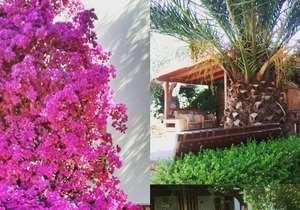 La Paloma Holiday Homes with swimming pools in two-room apartments sleeping 3