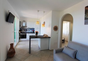 Sea view villa with garden and private hot tub 242