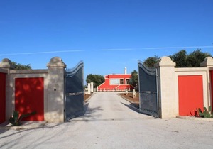 Tenuta Fascianello - Floral Sun