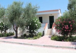 Tenuta Montincello