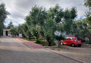 Tenuta Montincello