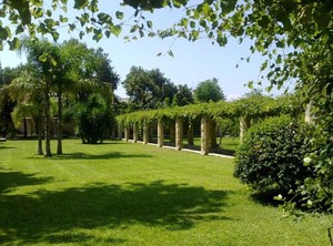 Casamassella | Casamassella