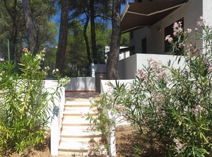 Collins | Castellaneta Marina
