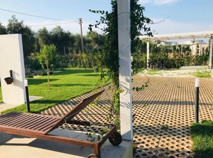 Mt The Sea Km Oasis Garden | Scialara