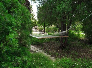 Tenuta Andromeda | Parati