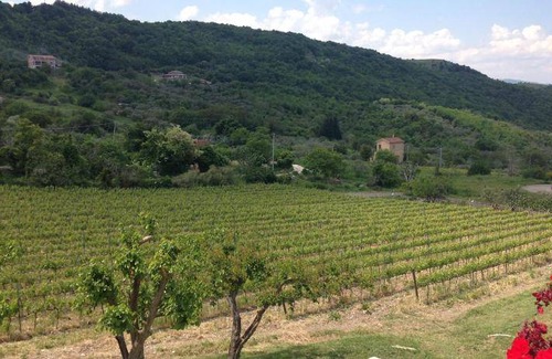 Bovino Bed & Breakfast | 27 m² Bed and breakfast ∙ 3 guests