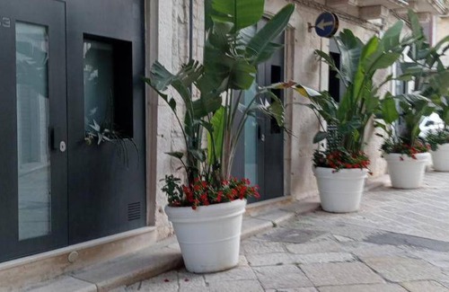 Trani Bed & Breakfast | 36 m² Bed and breakfast ∙ 3 guests