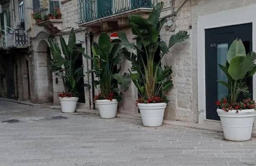 Trani Bed & Breakfast | 36 m² Bed and breakfast ∙ 3 guests