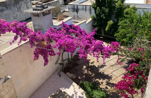Lizzanello Apartment | 52 m² Apartment ∙ 1 bedroom ∙ 3 guests