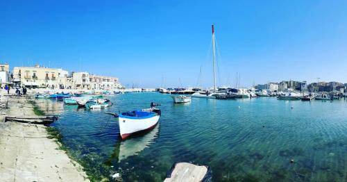 Bisceglie Apartment | 55 m² Apartment ∙ 1 bedroom ∙ 3 guests