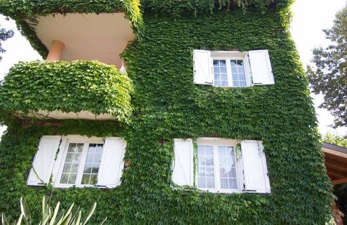 Taranto Bed & Breakfast | 60 m² Bed and breakfast ∙ 8 guests