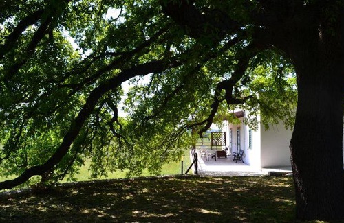 Alberobello House | 60 m² Farmhouse ∙ 4 guests