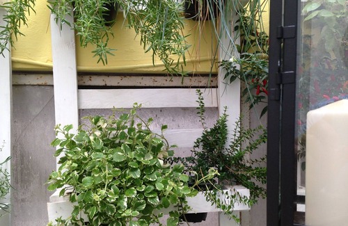 Rutigliano Apartment | Dimora Essenza - Independent apartment in the historic center