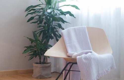 Lecce Bed & Breakfast | Dimore Romano
