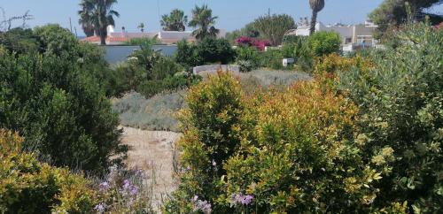 Gallipoli Apartment | I Mirti - Home Holiday