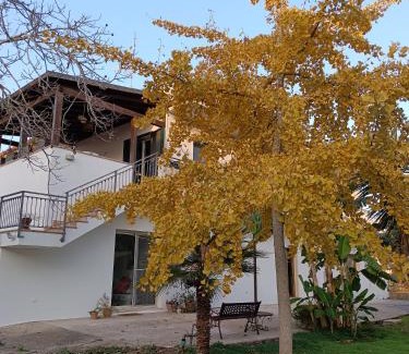 Ruffano House | LA CASA DEL NOCE