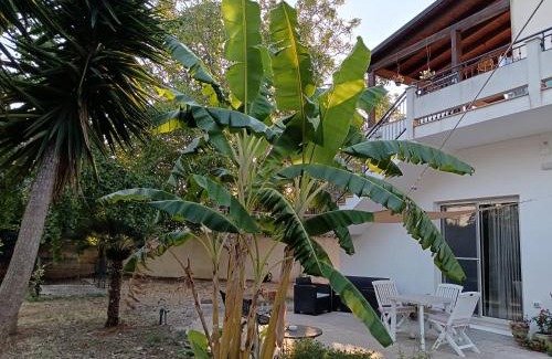 Ruffano House | LA CASA DEL NOCE