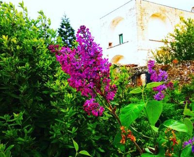 Alessano Bed & Breakfast | Masseria delle Rose 1760